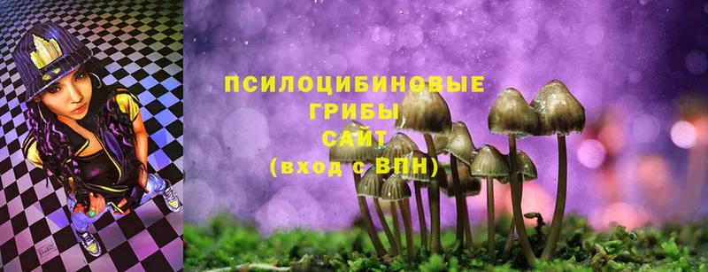 Галлюциногенные грибы Cubensis Беслан